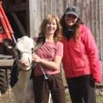 Fort Erie-filmed ‘Cows Come Home’ streams on Apple TV in four countries
