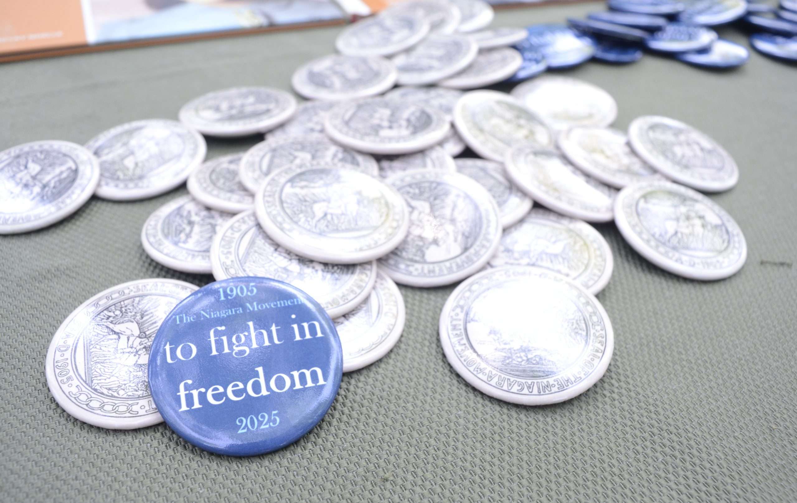 A collection of pins celebrating the Niagara Movement, including one that says "fight in freedom."